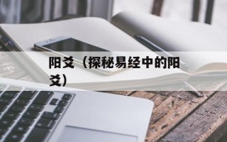 阳爻（探秘易经中的阳爻）