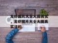 龙虾图片大全大图真实，龙虾图片大全大图真实活的