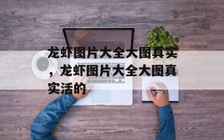 龙虾图片大全大图真实，龙虾图片大全大图真实活的