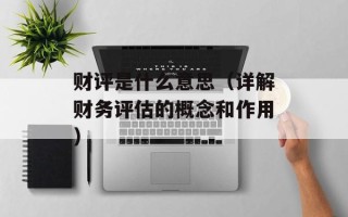 财评是什么意思（详解财务评估的概念和作用）
