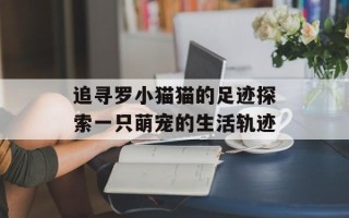 追寻罗小猫猫的足迹探索一只萌宠的生活轨迹
