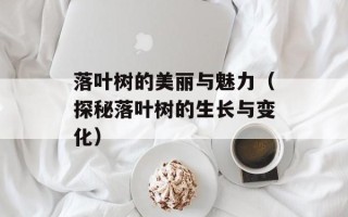 落叶树的美丽与魅力（探秘落叶树的生长与变化）