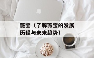 薇宝（了解薇宝的发展历程与未来趋势）