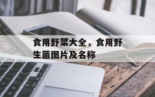 食用野菜大全，食用野生菌图片及名称