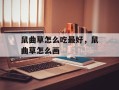 鼠曲草怎么吃最好，鼠曲草怎么画