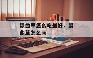 鼠曲草怎么吃最好，鼠曲草怎么画