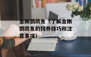 金刚鹦鹉鱼（了解金刚鹦鹉鱼的饲养技巧和注意事项）