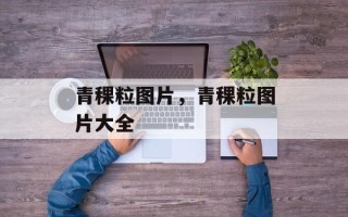 青稞粒图片，青稞粒图片大全