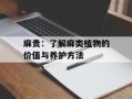 麻贵：了解麻类植物的价值与养护方法