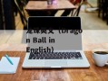 龙珠英文（Dragon Ball in English）