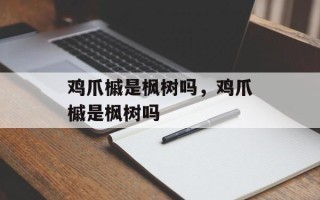 鸡爪槭是枫树吗，鸡爪槭是枫树吗