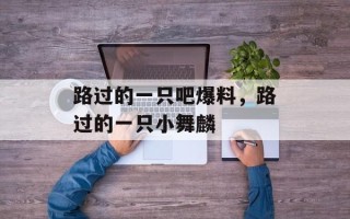 路过的一只吧爆料，路过的一只小舞麟