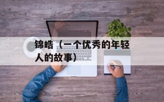 锦皓（一个优秀的年轻人的故事）