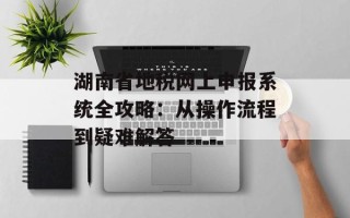 湖南省地税网上申报系统全攻略：从操作流程到疑难解答