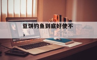 豆饼钓鱼到底好使不 ，