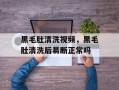 黑毛肚清洗视频，黑毛肚清洗后易断正常吗