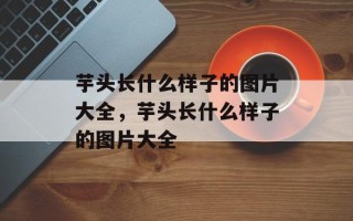 芋头长什么样子的图片大全，芋头长什么样子的图片大全