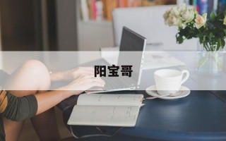 阳宝哥