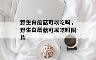 野生白蘑菇可以吃吗，野生白蘑菇可以吃吗图片