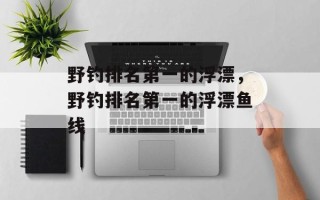 野钓排名第一的浮漂，野钓排名第一的浮漂鱼线