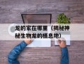 龙的家在哪里（揭秘神秘生物龙的栖息地）