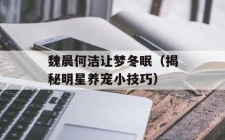 魏晨何洁让梦冬眠（揭秘明星养宠小技巧）