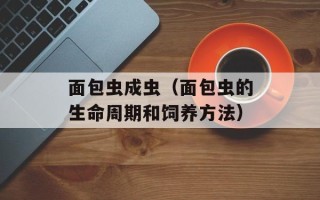 面包虫成虫（面包虫的生命周期和饲养方法）