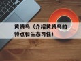 黄腾鸟（介绍黄腾鸟的特点和生态习性）