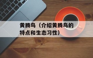 黄腾鸟（介绍黄腾鸟的特点和生态习性）