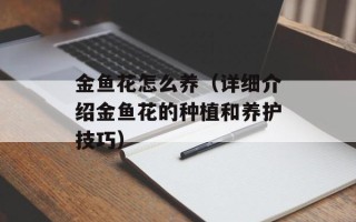 金鱼花怎么养（详细介绍金鱼花的种植和养护技巧）