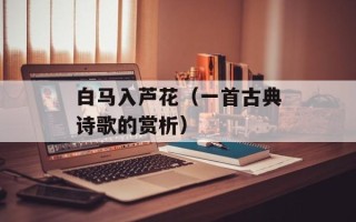 白马入芦花（一首古典诗歌的赏析）