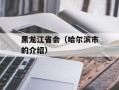 黑龙江省会（哈尔滨市的介绍）