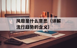 风靡是什么意思（详解流行趋势的含义）