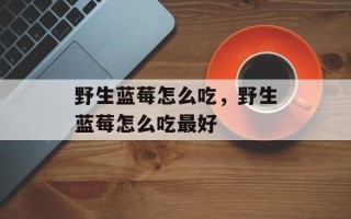 野生蓝莓怎么吃，野生蓝莓怎么吃最好