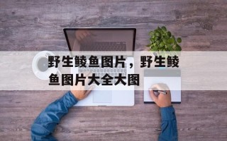 野生鲮鱼图片，野生鲮鱼图片大全大图