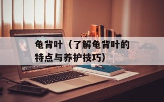 龟背叶（了解龟背叶的特点与养护技巧）