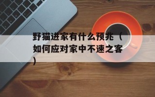 野猫进家有什么预兆（如何应对家中不速之客）