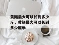 黄鳝最大可以长到多少斤，黄鳝最大可以长到多少厘米