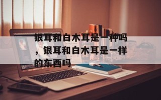 银耳和白木耳是一种吗，银耳和白木耳是一样的东西吗