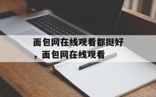 面包网在线观看都挺好，面包网在线观看