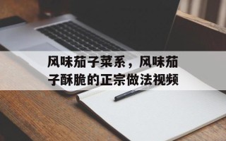 风味茄子菜系，风味茄子酥脆的正宗做法视频