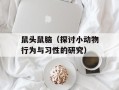 鼠头鼠脑（探讨小动物行为与习性的研究）