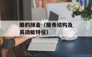 骼的拼音（骼骨结构及其功能特征）