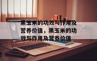 黑玉米的功效与作用及营养价值，黑玉米的功效与作用及营养价值