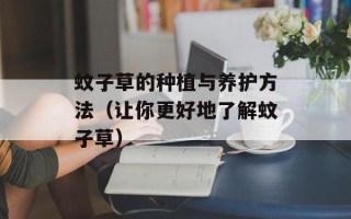 蚊子草的种植与养护方法（让你更好地了解蚊子草）