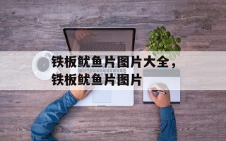 铁板鱿鱼片图片大全，铁板鱿鱼片图片