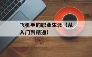 飞机手的职业生涯（从入门到精通）