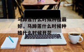 马蹄莲什么时候种植最好，马蹄莲什么时候种植什么时候开花