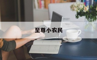 至尊小农民