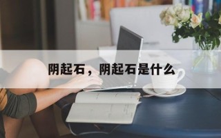 阴起石，阴起石是什么